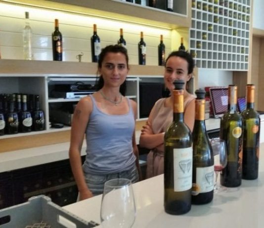 Urla Bağ Yolu: Yerli Şarap Rotası