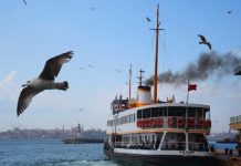 Vapurları terk eden martılar Vapurları terk eden martılar