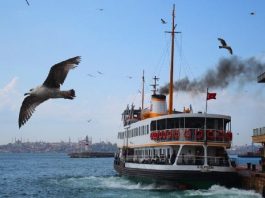 Vapurları terk eden martılar