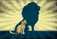 Astroloji: 2 Ağustos Aslan burcunda Yeni Ay