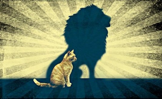 Astroloji: 2 Ağustos Aslan burcunda Yeni Ay