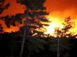 Kazdağları yanıyor: 20 hektar alan zarar gördü