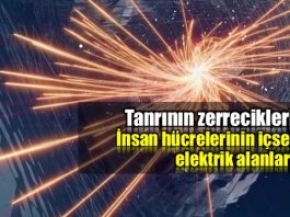 Tanrının Zerrecikleri: İnsan hücrelerinin içsel elektrik alanları