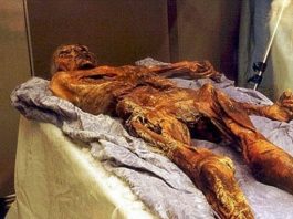 5 bin 300 yıllık 'Otzi' adlı mumyanın ölümündeki sır açıklandı