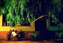 Kaybolan mahalle: Fahri abinin hikayesi Kaybolan mahalle: Fahri abinin hikayesi