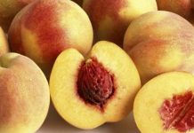 Meyve çekirdeği zehirliyor mu? Hangi meyvelerin çekirdekleri zararlı?