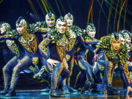 Dünyanın en ünlü gösteri grupları arasında gösterilen Cirque du Soleil, Türkiye'de mahkemelik oldu.