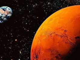 Elon Musk'tan Adem Ağalıoğlu'na Mars macerası