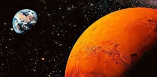 Elon Musk'tan Adem Ağalıoğlu'na Mars macerası