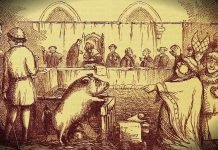 Hayvanlar yargılanabilir mi? Ortaçağ’da hayvanların statüsü Hayvanlar yargılanabilir mi? ortaçağ avrupa domuz yargılanıyor dava