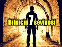Homo Sapiens'e doğru bir insanlık yolculuğu: Bilincin 7 seviyesi