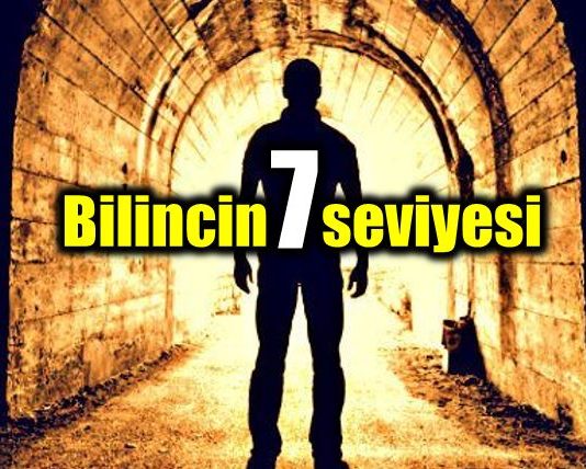 Homo Sapiens'e doğru bir insanlık yolculuğu: Bilincin 7 seviyesi