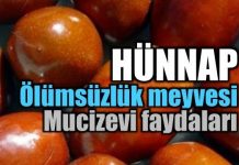 Hünnap meyvesinin faydaları nelerdir? ölümsüzlük meyvesi Hünnap meyvesinin faydaları nelerdir?