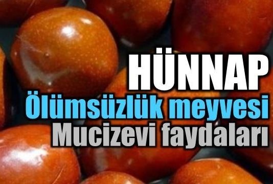 ölümsüzlük meyvesi Hünnap meyvesinin faydaları nelerdir?