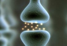 Kemik erimesi Osteoporoz belirtileri ve tedavisi nedir? Kemik erimesi sadece kadınları değil erkekleri de tehdit ediyor