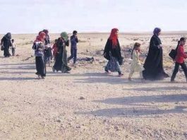 Musul’da toplu göç başladı: Bin kişilik sivil grup Suriye’ye geçti