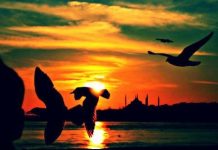Ruhsal sağırlık: Sesler açık büfe, afiyet olsun! Ruhsal sağırlık: Sesler açık büfe, afiyet olsun!