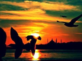 Ruhsal sağırlık: Sesler açık büfe, afiyet olsun!