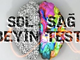 Sağ ve Sol Beyin Testi: Beyninizde hangi lobu daha iyi kullanıyorsunuz?