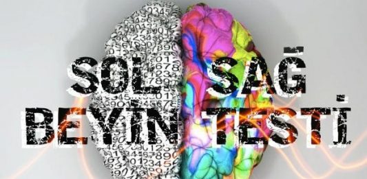 Sağ ve Sol Beyin Testi: Beyninizde hangi lobu daha iyi kullanıyorsunuz?