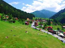 Ayder Yaylası'nda TOKİ tarafından kentsel dönüşüm projesi uygulanacak. Ayrıca Türkiye'nin en büyük kayak merkezi yapılacak.