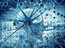 Bağımlılığın nedeni terörist nöronlar mı?