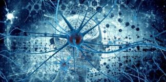 Bağımlılığın nedeni terörist nöronlar mı?