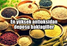 Baklagiller antioksidan deposu; kilo vermeye yardımcı! Baklagiller antioksidan deposu; kilo vermeye yardımcı orac skoru nedir