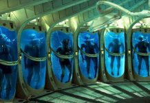 Cryonics: Ölmeden önce dondurularak dirilmeyi beklemek Cryonics: Ölmeden önce dondurularak dirilmeyi beklemek