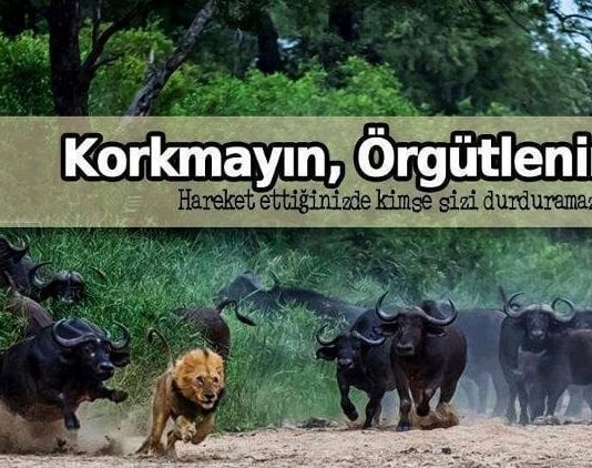 İyiler ve kötüler İyi ve kötünün örgütlenmesi üzerine