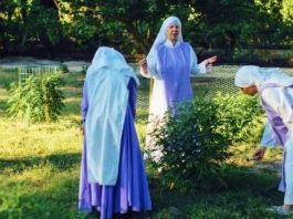 Kenevir ve alkol içeren esrarengiz likor karışımları