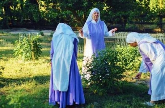 Kenevir ve alkol içeren esrarengiz likor karışımları