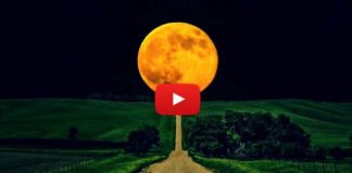 Süper Ay ne zaman görünecek? İnsanlar üzerindeki 9 ilginç etkisi