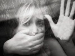 Yıl 2016: Bir paranoyanın özeti