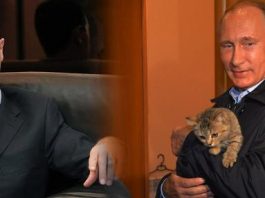 Suriye'ye giderken evdeki bulgurdan nasıl olduk?