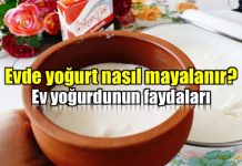 Ev yoğurdu faydaları ve evde yoğurt mayalama tarifi ev yoğurdu faydaları evde yoğurt nasıl mayalanır tarifi malzemeler hazırlanışı