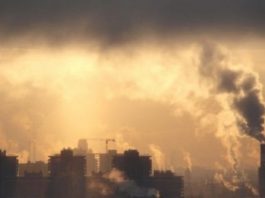 Metropollerde kirli hava hangi hastalıklara neden oluyor?