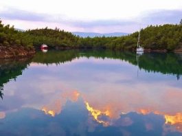 Muğla çevre platformu Muğla, Bodrum, Milas, Akyaka, Fethiye, Marmaris, Datça ve Köyceğiz'de STK'lar birleşti