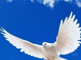 "Piyango çıkacak" duygusu çıkmış kadar zevk yaşatıyor!