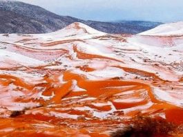 Sahra Çölü'nde 37 yıl sonra kar gözlendi