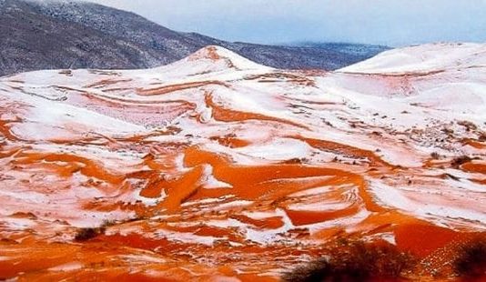 Sahra Çölü'nde 37 yıl sonra kar gözlendi