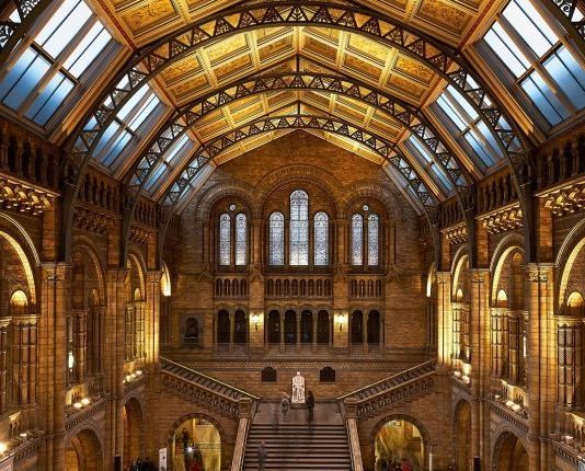 Tarihi okumak isteyenlere kitap önerileri