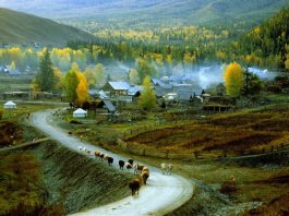 Çin Xinjiang'ın bilinmeyenleri: Xinjiang'a genel bakış