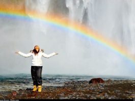 Hayatın anlamını bulmak! "İkigai"mizi bulma yolculuğu