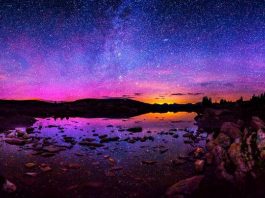 İnsan içre alem: bir seyir öyküsü