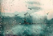 Kimileri aşktan sevdadan beslenir ben yalnızlıktan özdemir asaf