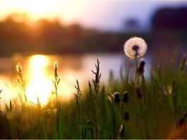 Melek başka insan başka 