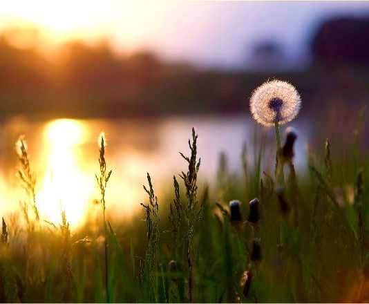 Melek başka insan başka 