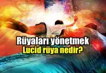 Lucid rüya nedir? Rüyalarımızı yönetmek mümkün mü? Rüyalarımızı yönetmek mümkün mü? Lucid rüya nedir?