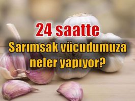 Mucizevi besin sarımsak 24 saat içinde vücudumuza neler yapıyor? Sarımsağın faydaları neler? 10 ay suda bekletilen sarımsağın etkileri...